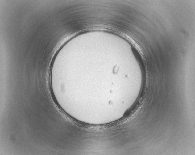 X0000115530901200912181524