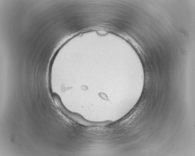 X0000115530902200912181524