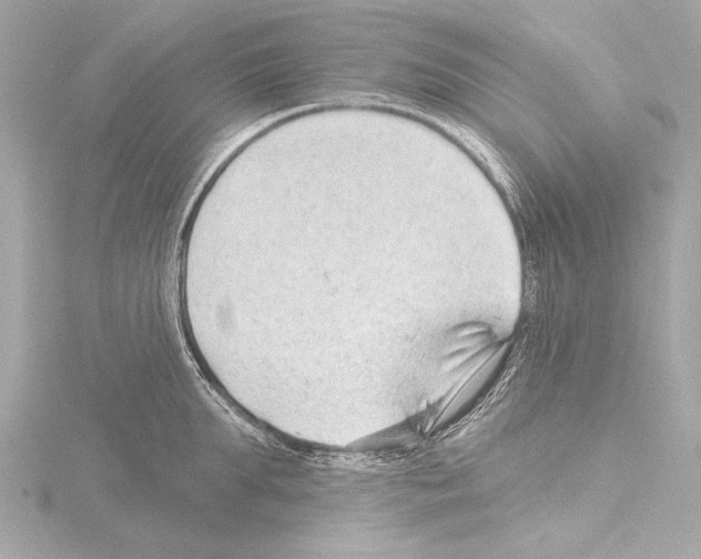 X0000115530903200912181524