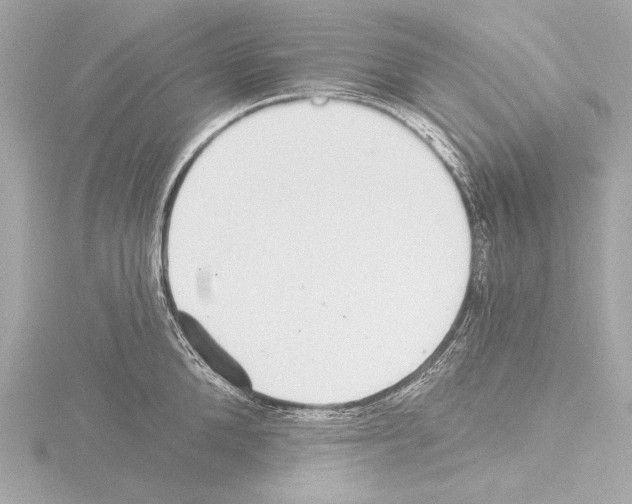 X0000115530904200912181524