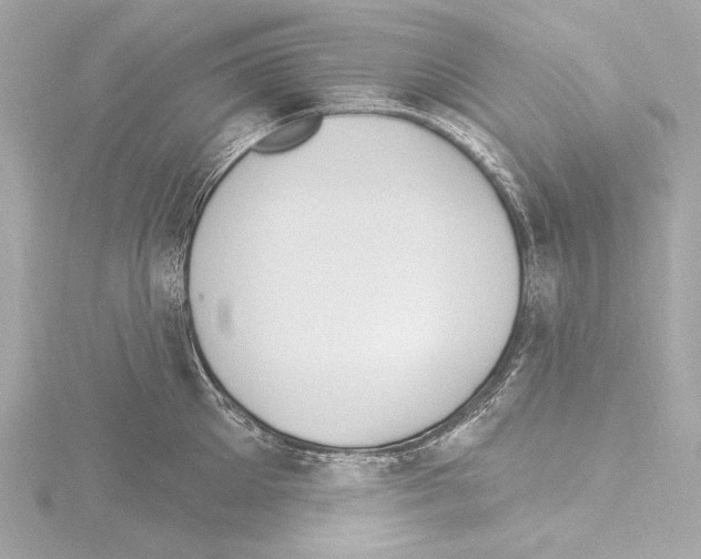 X0000115530905200912181524