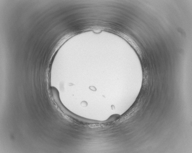 X0000115530906200912181524