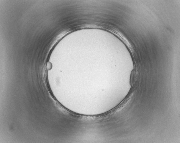 X0000115530909200912181524