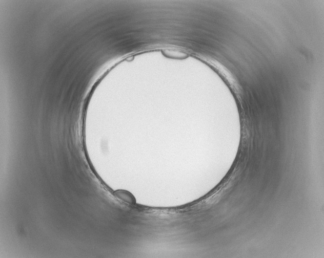 X0000115530910200912181524