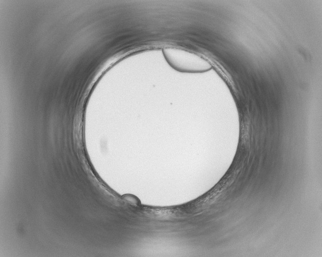 X0000115530911200912181524