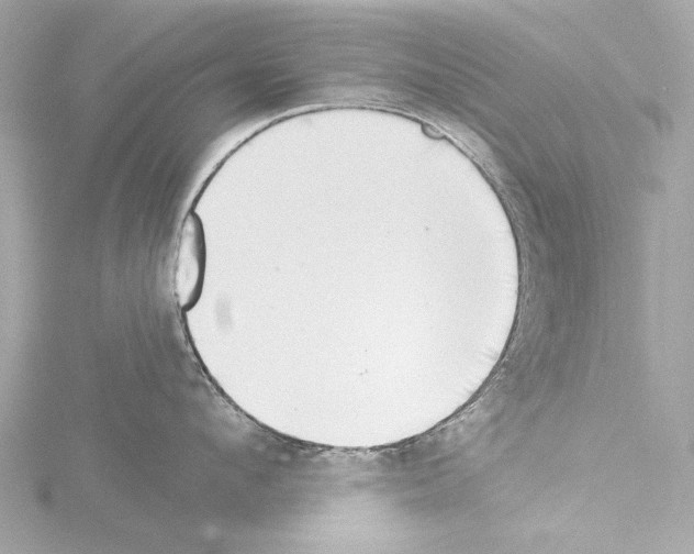 X0000115530912200912181524