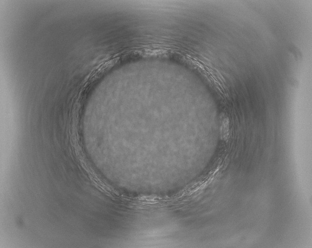 X0000115530913200912181523