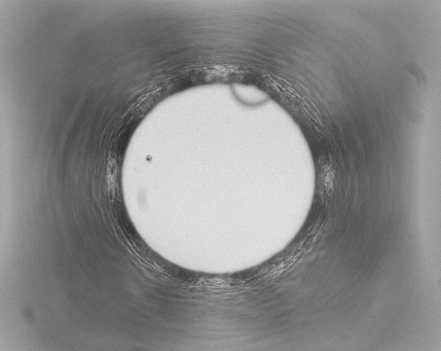 X0000115530914200912181523