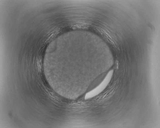 X0000115530915200912181523