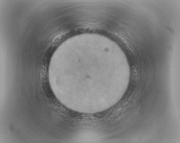 X0000115530918200912181523