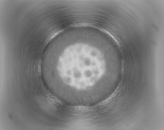 X0000115530921200912181524