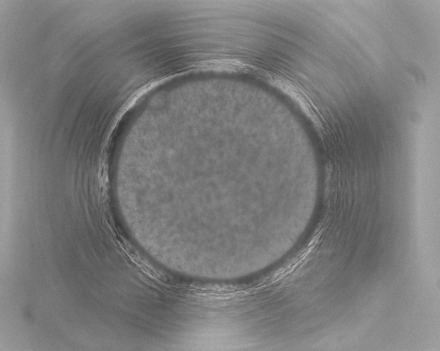 X0000115530923200912181524