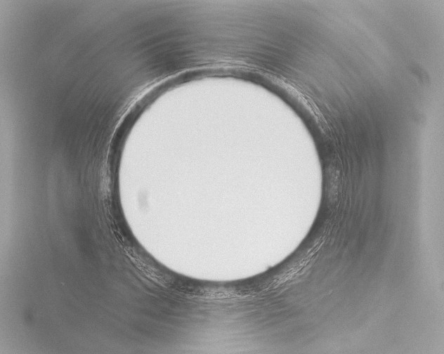 X0000115530927200912181524