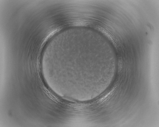 X0000115530930200912181524