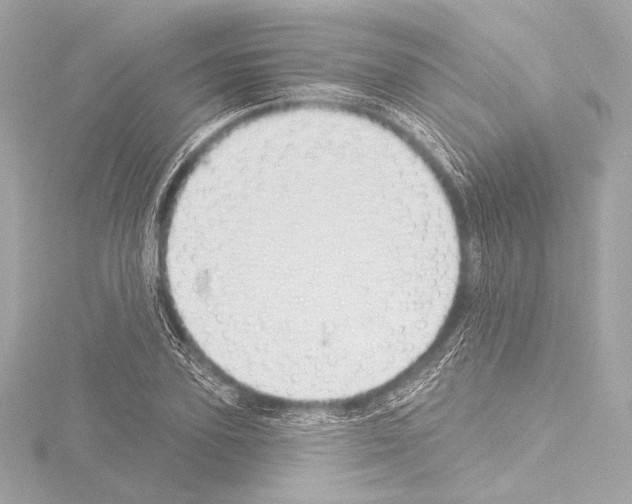 X0000115530931200912181524