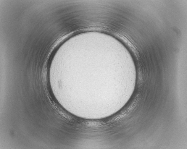 X0000115530933200912181524