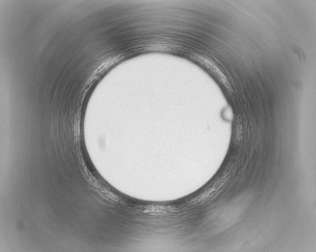 X0000115530938200912181524