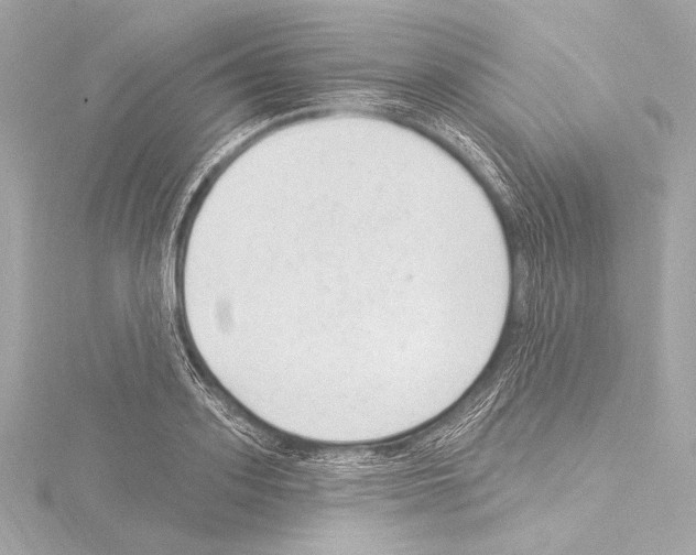 X0000115530939200912181524