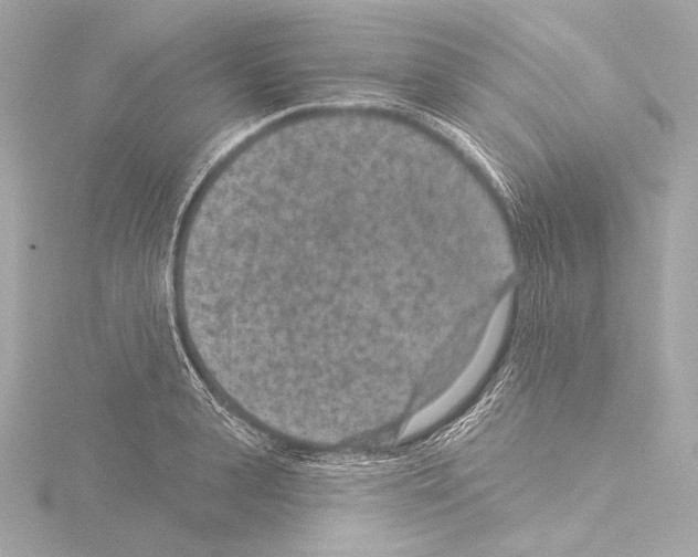 X0000115530943200912181524