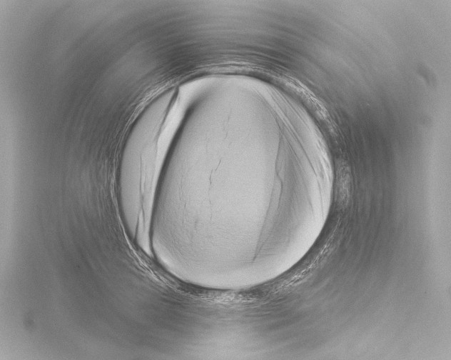 X0000115530945200912181524