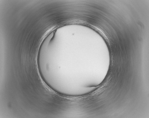 X0000115530946200912181524