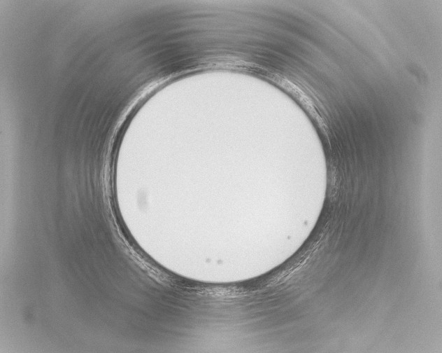 X0000115530947200912181524