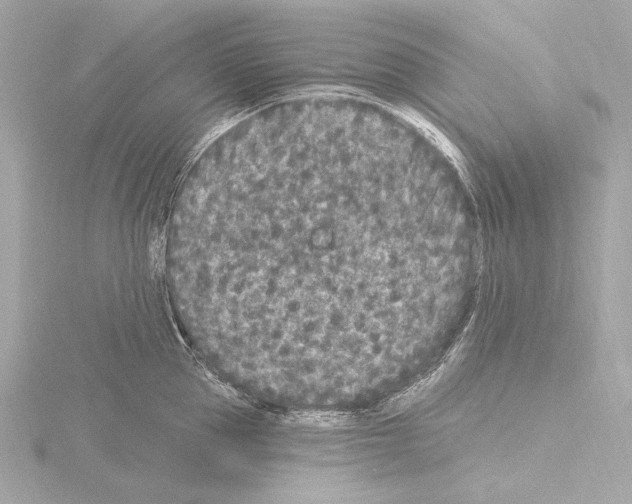 X0000115530953200912181524