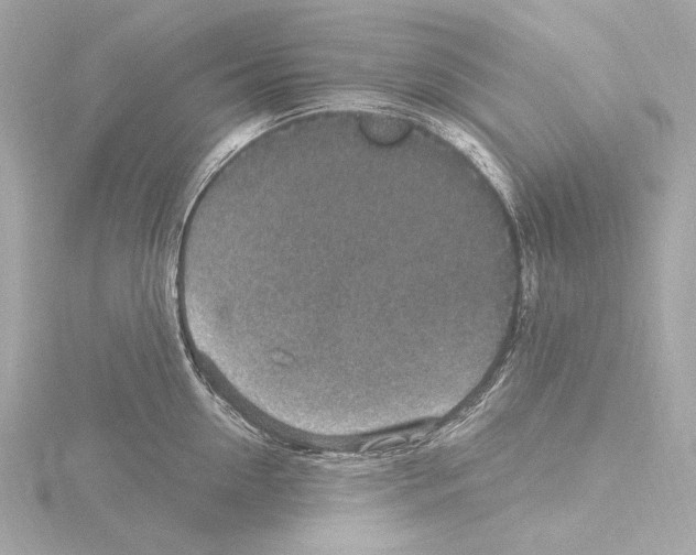 X0000115530954200912181524