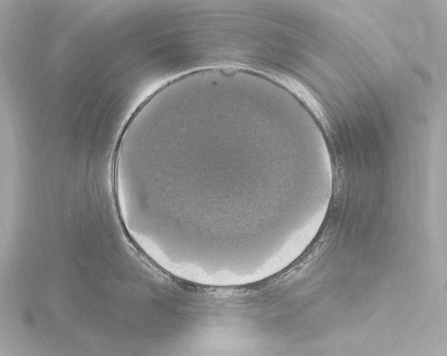 X0000115530958200912181524