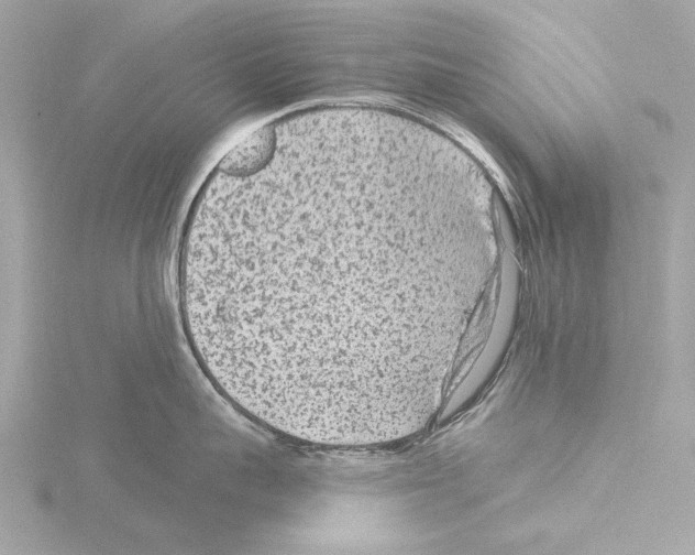 X0000115530959200912181524