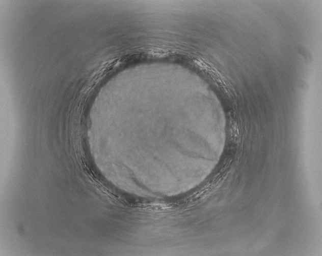 X0000115530961200912181523