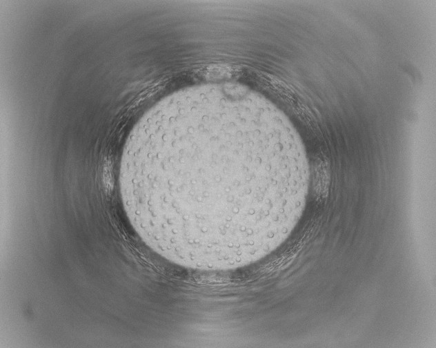 X0000115530962200912181523