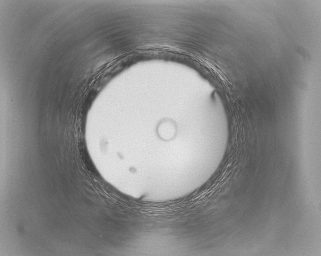 X0000115530965200912181523