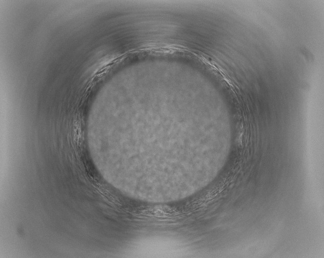 X0000115530966200912181523