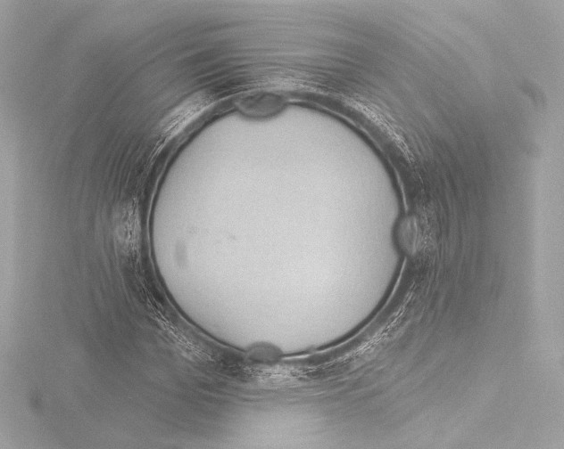 X0000115530969200912181523