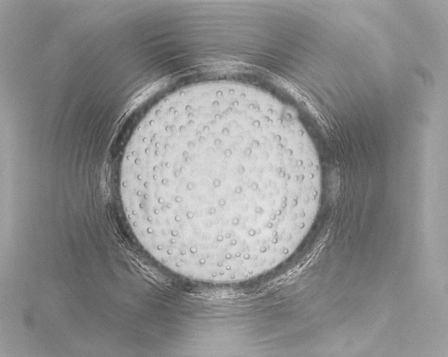 X0000115530970200912181523