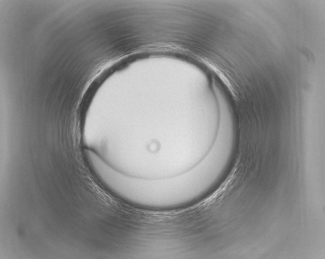 X0000115530973200912181523