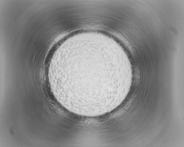 X0000115530974200912181523