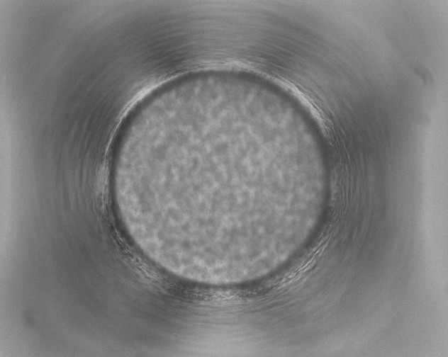 X0000115530975200912181523