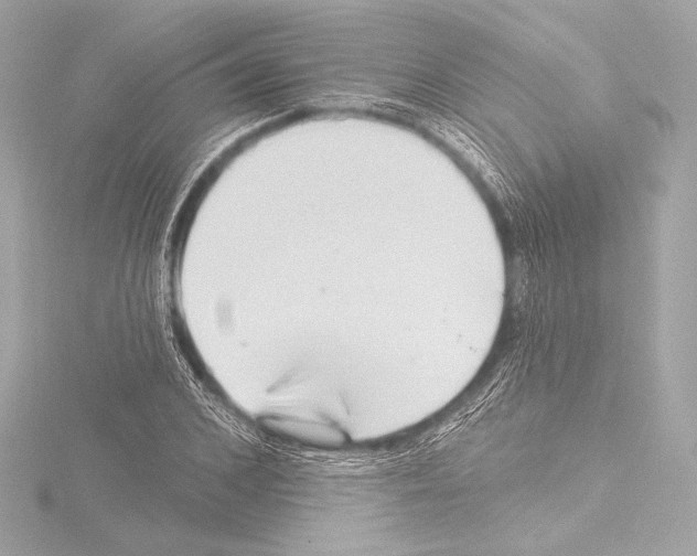 X0000115530976200912181523