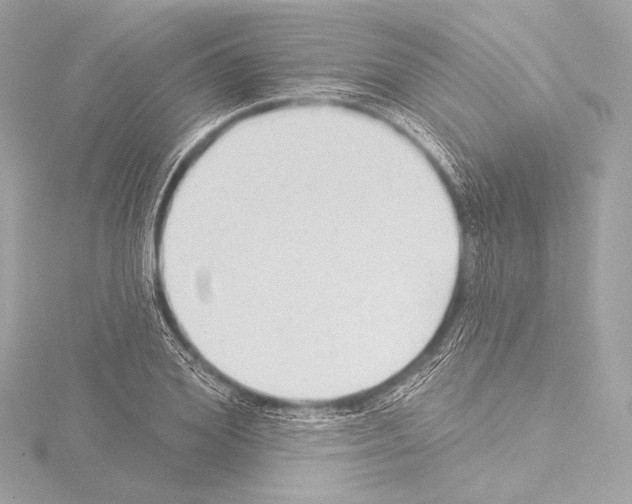 X0000115530980200912181523