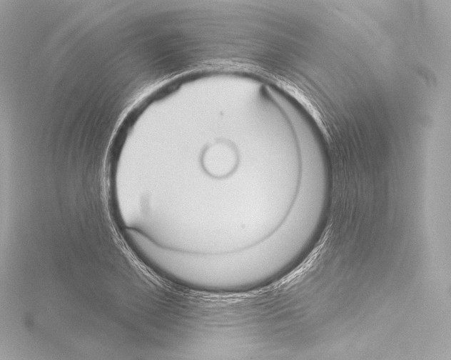 X0000115530981200912181523