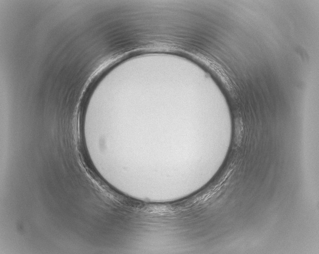 X0000115530982200912181523