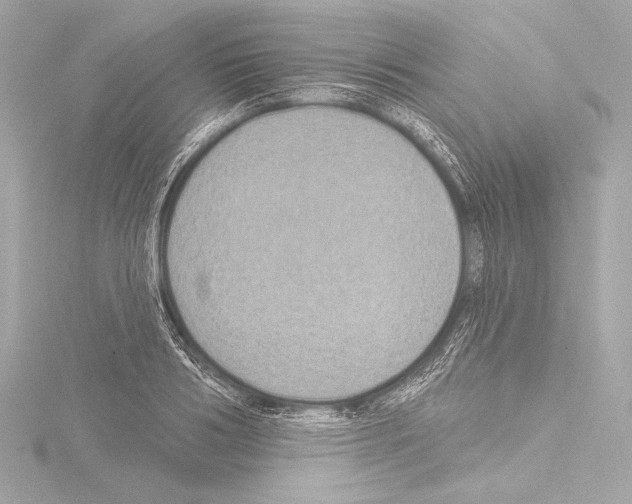 X0000115530986200912181523