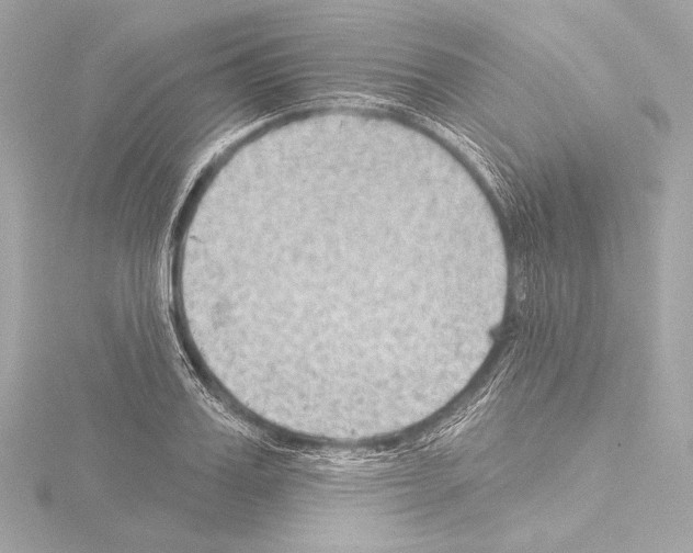 X0000115530987200912181523