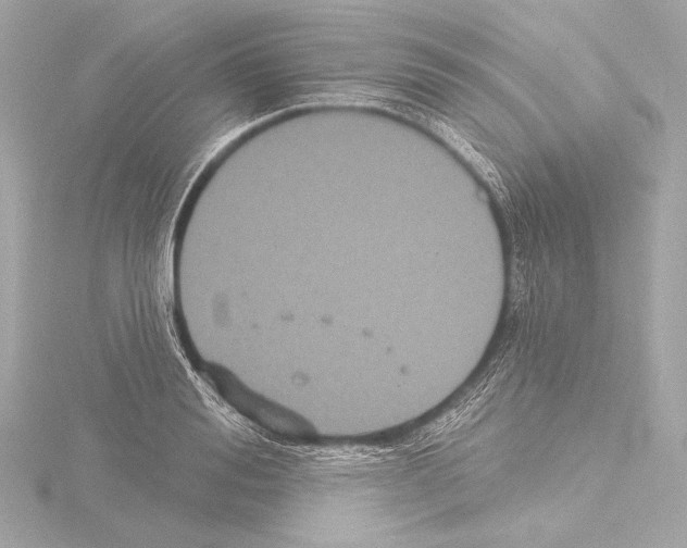 X0000115530988200912181523