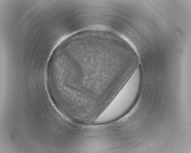 X0000115530989200912181523