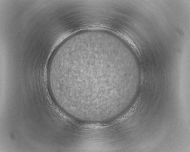 X0000115530990200912181523