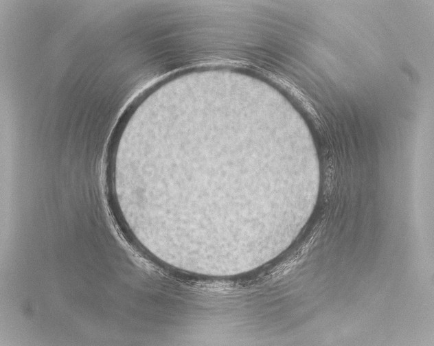 X0000115530991200912181523