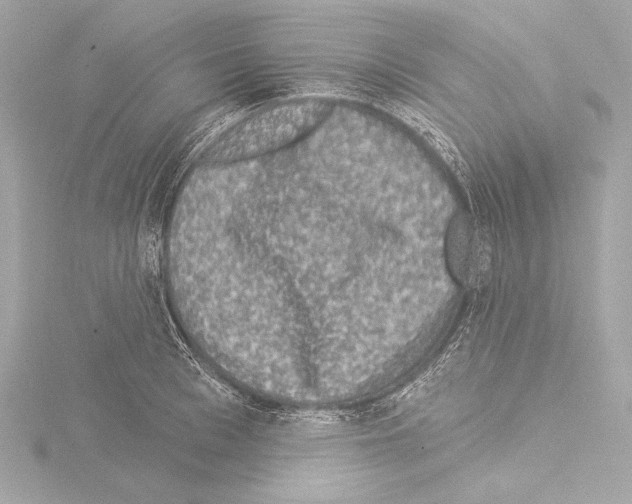 X0000115530993200912181523